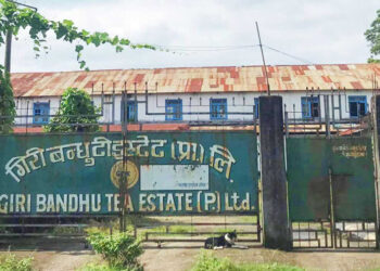 गिरीबन्धु चिया बगान सट्टाभर्ना रोक्न समितिको निर्देशन