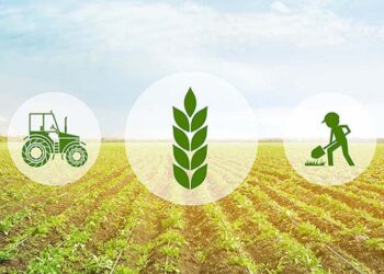 ‘समयमै मल पाए धान उत्पादन बढ्छ