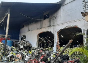झापा गोल्डकप : खेल मैदानको स्तरोन्नति