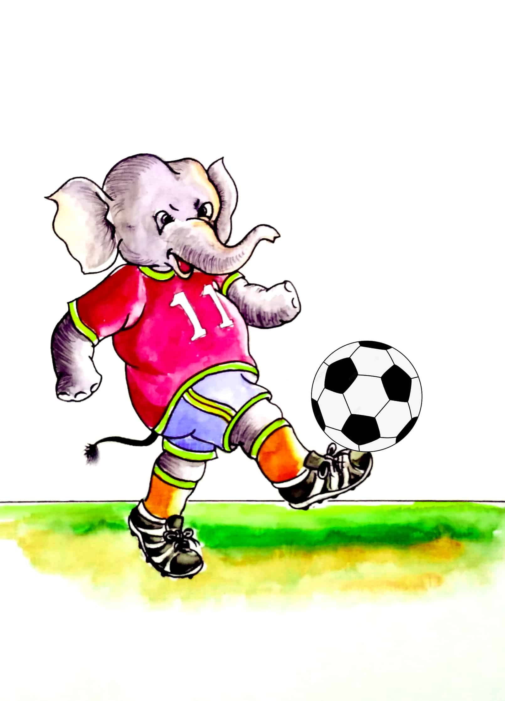 पवनले बनाए झापा गोल्डकपको मस्कट