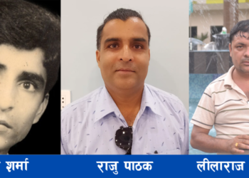 डी कौडिन्य पत्रकारिता पुरस्कार : शर्मा, राजु र झापालीलाई