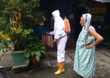 झापामा २७ जना डेंगुका रोगी, मेचीनगरमा विषादी छिट्दै