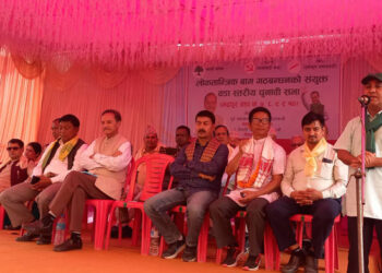 शर्मा र सिटौलाले एक अर्कालाई भोट मागे