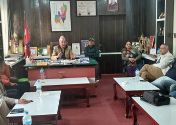 गोकुल मार्ग कालोपत्रको तयारी