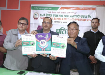 हाम्रो नेपाल साकोसको प्रतिवेदन सार्वजनिक