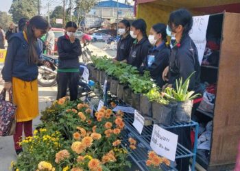 फुलका बिरुवा बेच्दै इष्ट होराइजनका विद्यार्थी