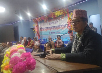 अब ग्यास चुलोको विकल्प विद्युतिय चुलो : उपप्रधानमन्त्री लिङदेन