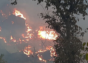 तेह्रथुममा आगलागी, १४ घर जलेर नष्ट