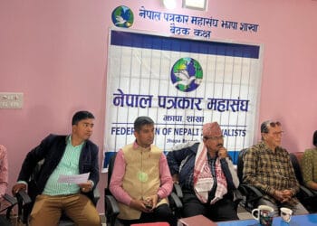 वेबसाइट सार्वजनिक, मर्यादित पत्रकारितामा जोड
