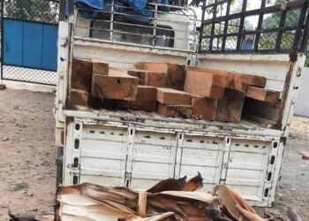 सखुवाको चिरान काठसहित गाडी नियन्त्रणमा