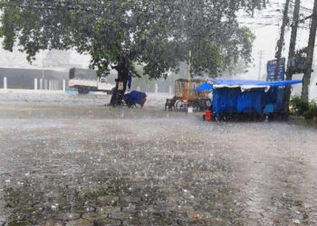 झापामा असिनासहितको वर्षा