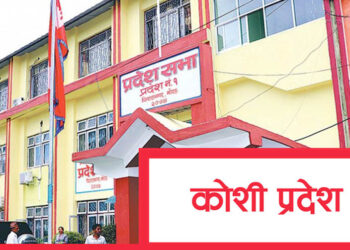 अब स्थानीय तहका कर्मचारी प्रदेशभरी सरुवा हुने