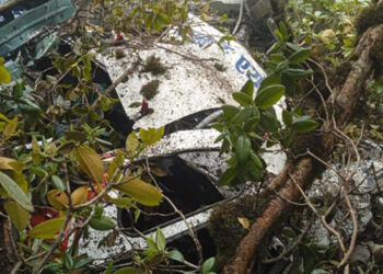हेलिकप्टर दुर्घटना : चालक र ५ जना विदेशीको मृत्यु
