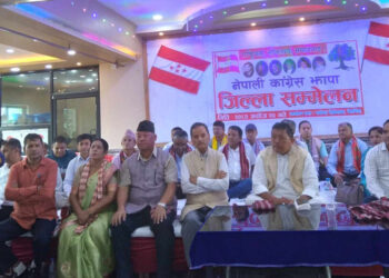 सरकारको विकल्प खोज्ने भन्दा परिमार्जित गर्नुपर्छ : शर्मा