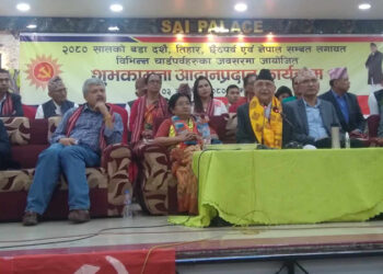 नेपाली चाड पर्वहरुलाई महत्व दिनुपर्छ : ओली