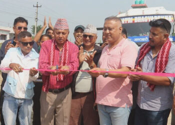 प्यारीभिट्टा बसपार्क सञ्चालनमा