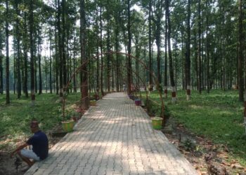 चिटिक्क पारियाे मागुरमाडी सिमसार
