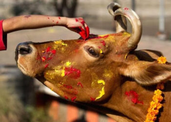 आज गोवर्द्धन पूजा