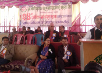 लोकतन्त्रमा राजसंस्था डाक्टरले निको पारेन भनेर धाँमी खोज्नु जस्तै : शर्मा