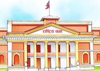 राष्ट्रिय सभाको १९ सिटमा ५२ जनाको मनोनयन