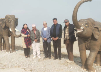 मुख्यमन्त्रीद्वारा हात्ती समाधानका लागि बाहुनडाँगीदेखि उदयपुरसम्म पैदल यात्रा गर्ने