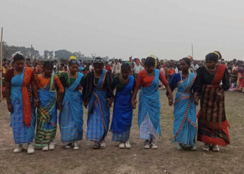 सन्थाल समुदायको सोहराई पर्व सम्पन्न