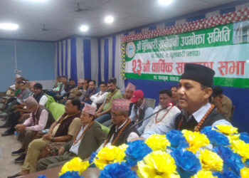 सांसद हराएको छैन, सरकार हराएको हो : सांसद शर्मा
