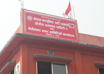 यी हुन् मेचीनगरबाट छनोट भएका एमाले प्रतिनिधिहरु