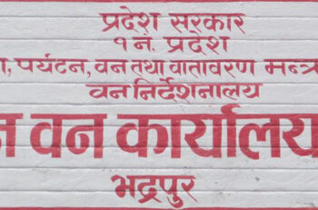 डीएफओ राईले भने–वडाध्यक्ष कार्कीले जथाभावी बोल्न मिल्दैन