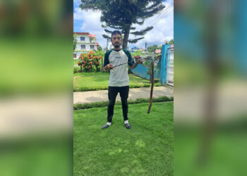 सर्प उद्वारकर्मी कार्कीलाई नै सर्पले डस्दा घाइते
