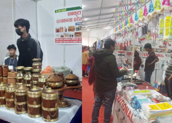 बिर्तामोड महोत्सवमा अवलोकन गर्नेको घुईचो