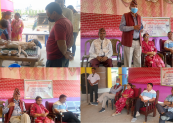 आज ९६ वटा सामुदायिक कुकुरको बन्ध्याकरण