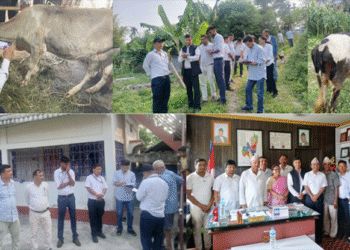 लम्फी स्किन र अफ्रिकन स्वाइन फिवरको निरीक्षण गर्न मन्त्रालयको टोली मेचीनगरमा