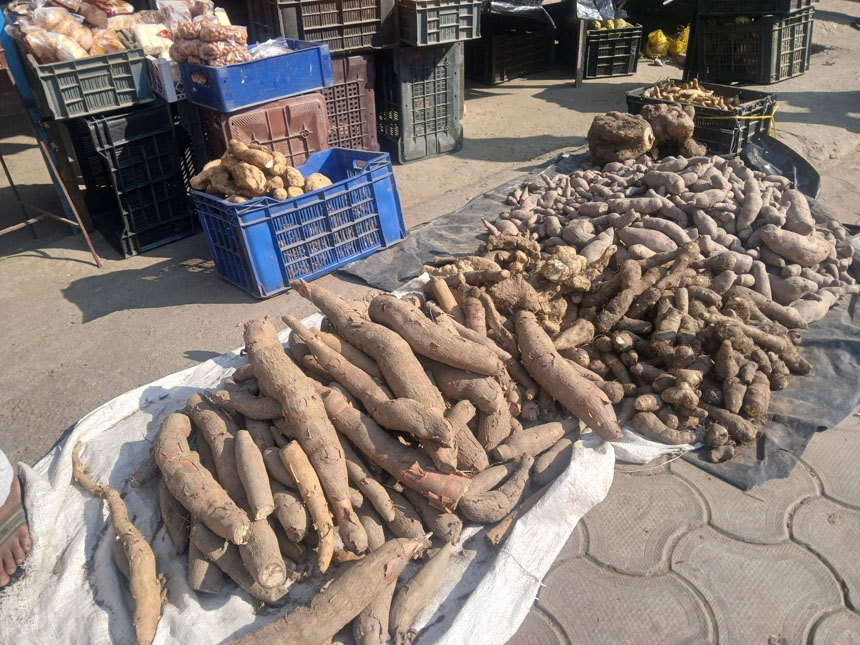 बाहुनडाँगीमा चौंथो अन्तराष्ट्रिय ‘तरुल उत्सव’