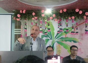 झापामा अर्थाेकाेन-२०२६