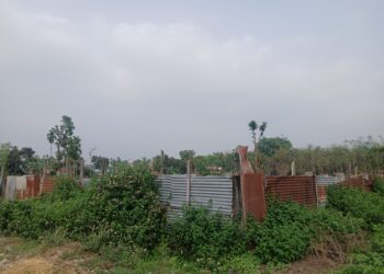 नकलबन्दाबाट गाई-गाेरू, सुपारी, लसुन तस्करी, प्रहरी माैन