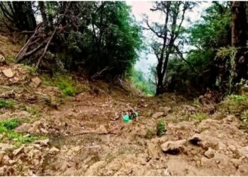 रोल्पा जीप दुर्घटना : मृतककाे संख्या २० पुग्याे