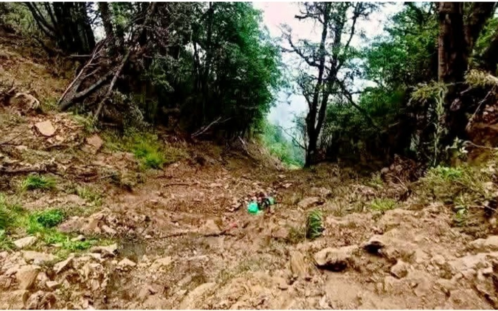 रोल्पा जीप दुर्घटना : मृतककाे संख्या २० पुग्याे
