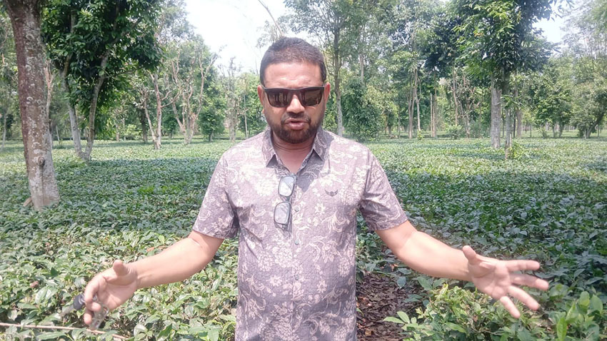 मिश्रित कृषि खेतीबाट मनग्ये आम्दानी गर्दै बाहुनडाँगीका रवि