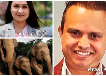सांसद निशा डाँगीलाई खुल्ला पत्र