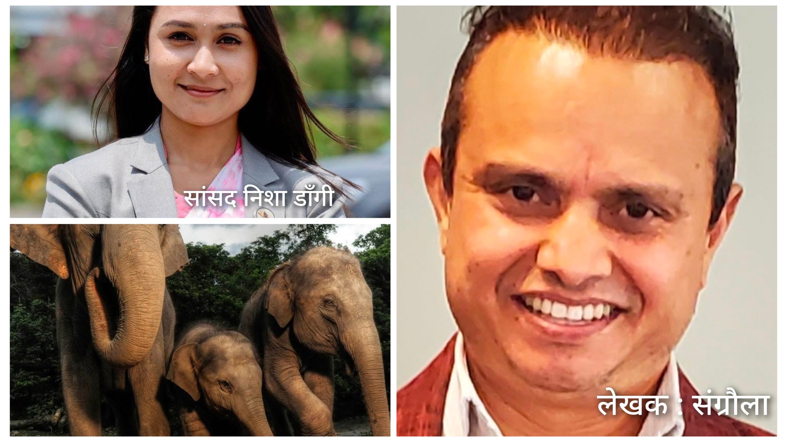 सांसद निशा डाँगीलाई खुल्ला पत्र