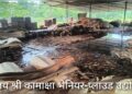 गएरातिकाे वर्षाले मेचीनगरकाे दुईटा प्लाइउड उद्योगमा क्षति