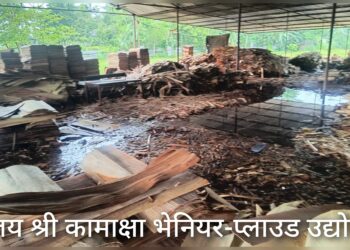 गएरातिकाे वर्षाले मेचीनगरकाे दुईटा प्लाइउड उद्योगमा क्षति