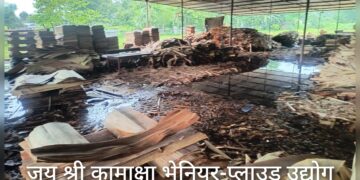 गएरातिकाे वर्षाले मेचीनगरकाे दुईटा प्लाइउड उद्योगमा क्षति