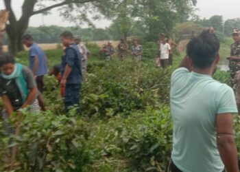 भारतीय सुरक्षाकर्मीले पाठामारीकाे दशगजाका चियाका बाेटहरू हटायाे