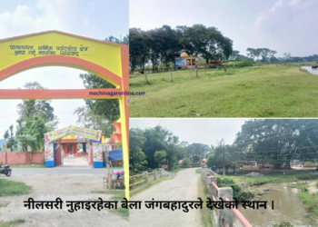 जंगबहादुरकी रानी बनेकी मेचे समुदायकी ‘नीलसरी’