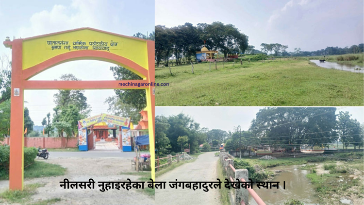 जंगबहादुरकी रानी बनेकी मेचे समुदायकी ‘नीलसरी’