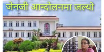 न्यायिक समिति : ४१ वटा निवेदन जेनजी आन्दोलनमा जल्याे 