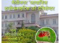 मेचीनगर ´जापानिज इन्सेफ्लाइटिस`काे इपिसेन्टर बन्दै 