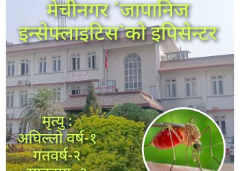 मेचीनगर ´जापानिज इन्सेफ्लाइटिस`काे इपिसेन्टर बन्दै 
